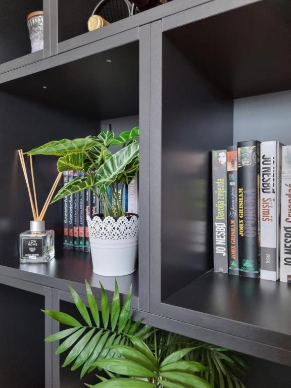 Apartment Amour Luxe Сплит Екстериор снимка